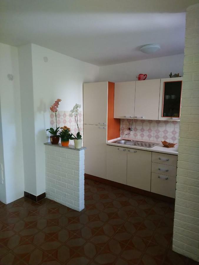 Apartment Summer Night Dream Zadar Dış mekan fotoğraf
